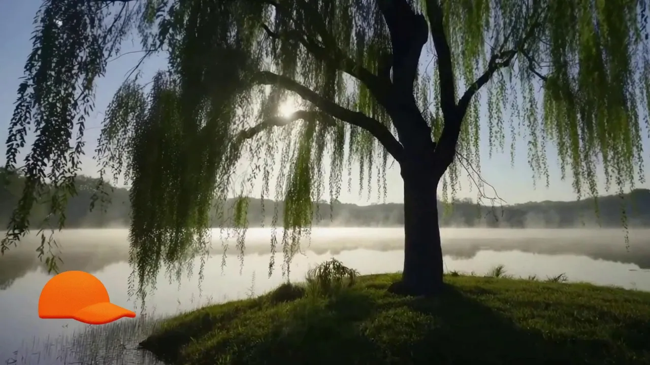 A Grant of Saving Grace