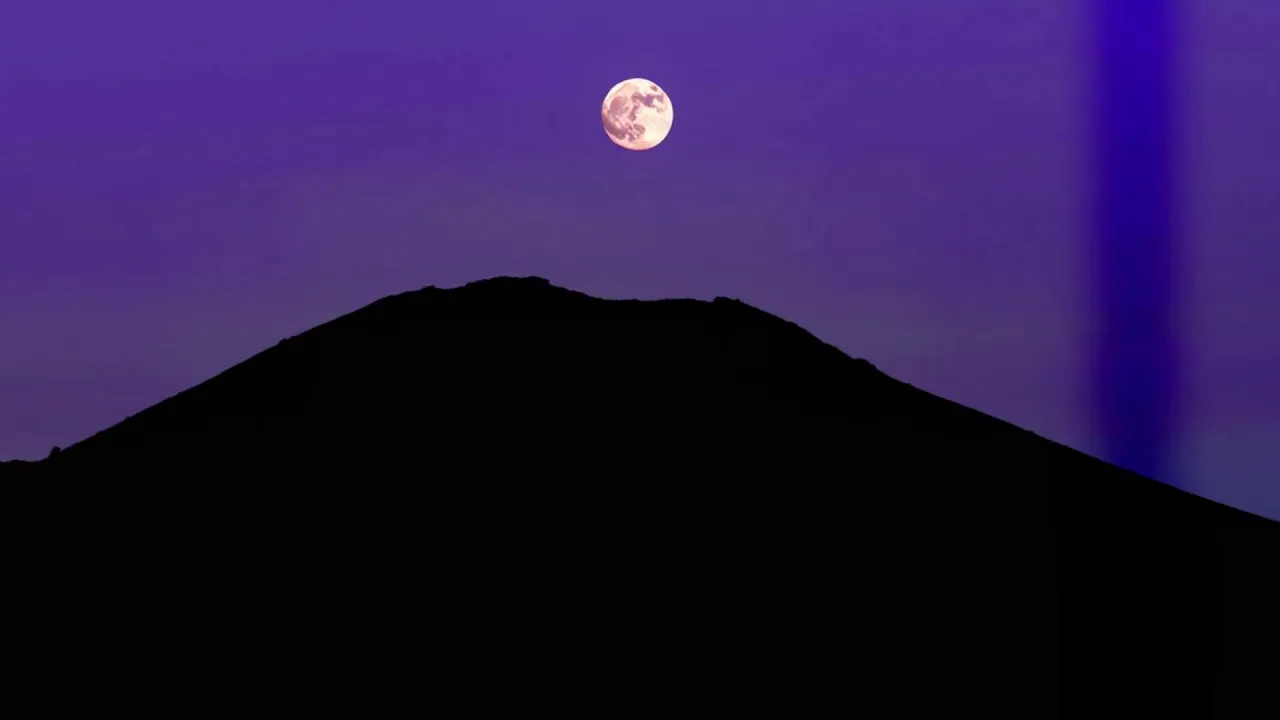 A Whim of Fate's Fleeting Glance