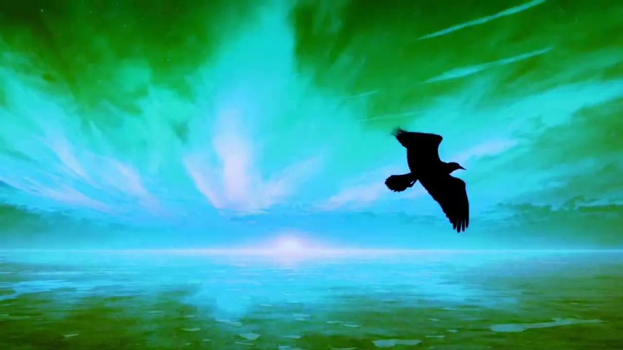 Across the Changing Sky