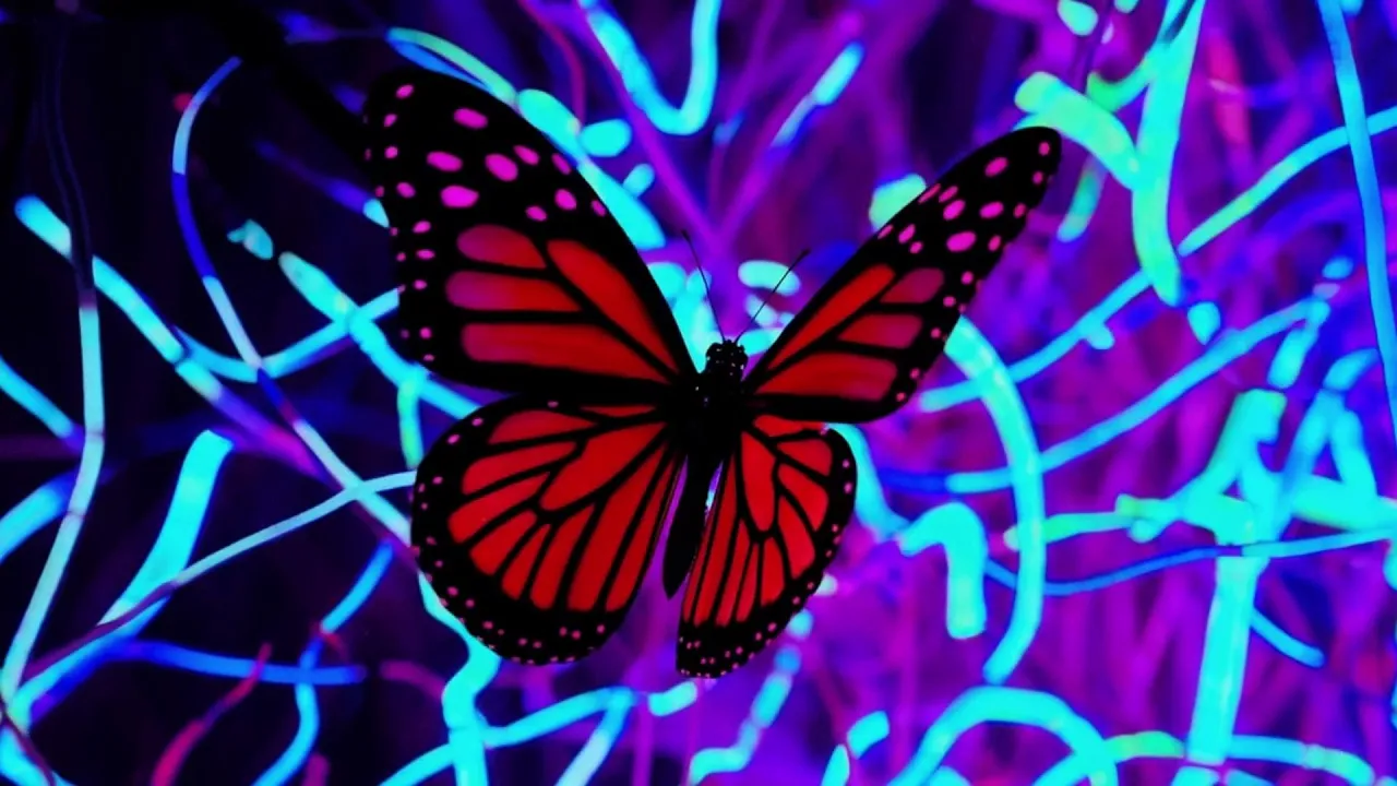 Butterfly in the Abyss