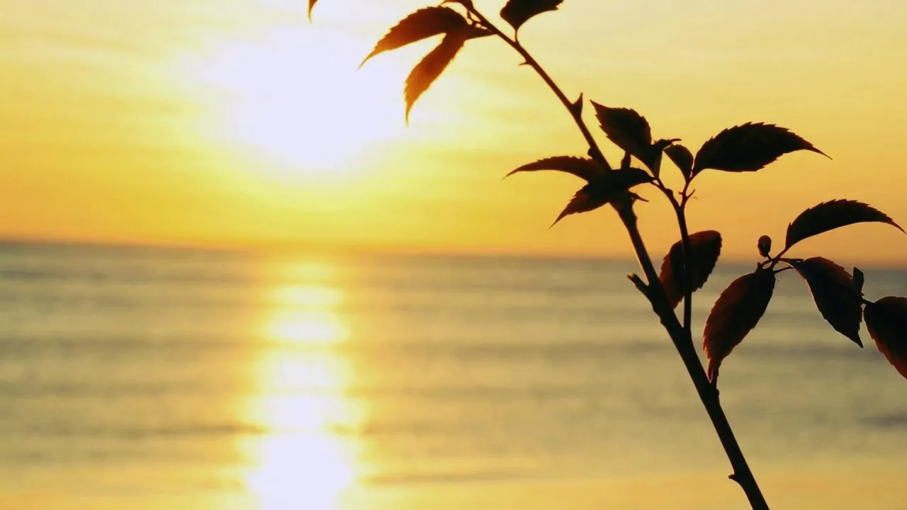 Just Another Summer Breeze